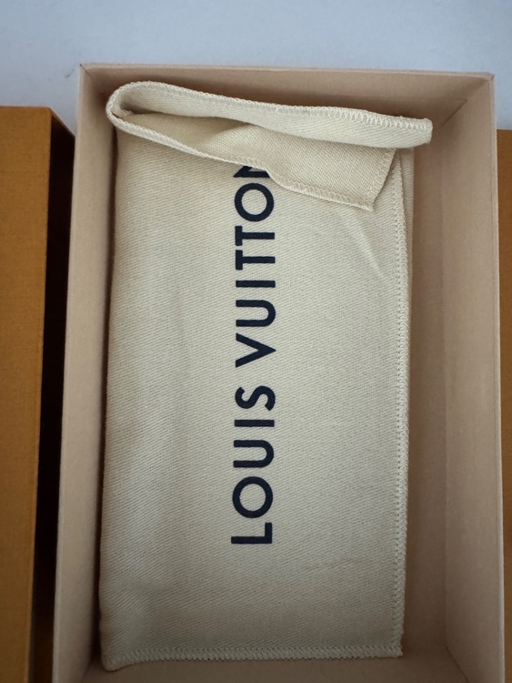 ルイヴィトン ルイヴィトン(その他) （ブランドバッグ）の商品画像 - 査定依頼日：2026年1月22日 - 最高査定価格：100,000円