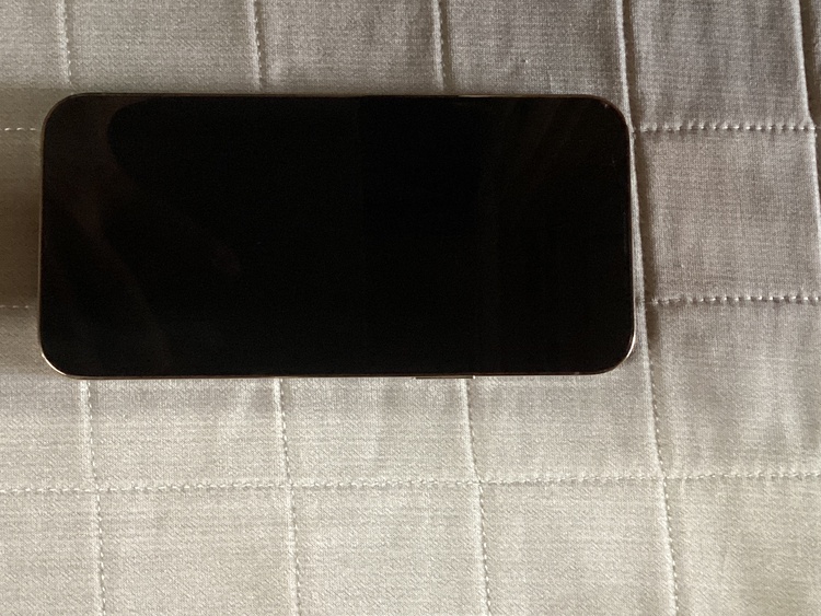 iPhone iPhone 13 Pro Max 128GB docomo（スマホ）の商品画像 - 査定依頼日：2026年6月6日 - 最高査定価格：32,000円