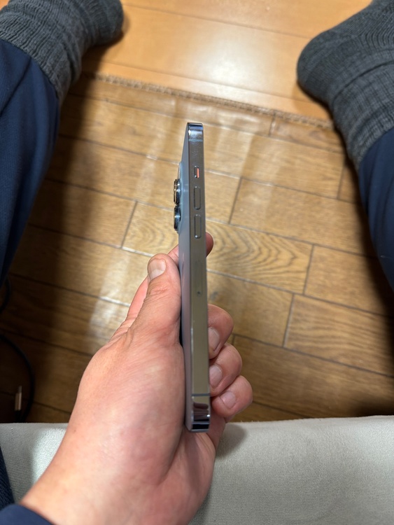 iPhone 13 Pro 256GB Softbank（スマホ）の商品画像 - 査定依頼日：2026年1月23日 - 最高査定価格：53,000円