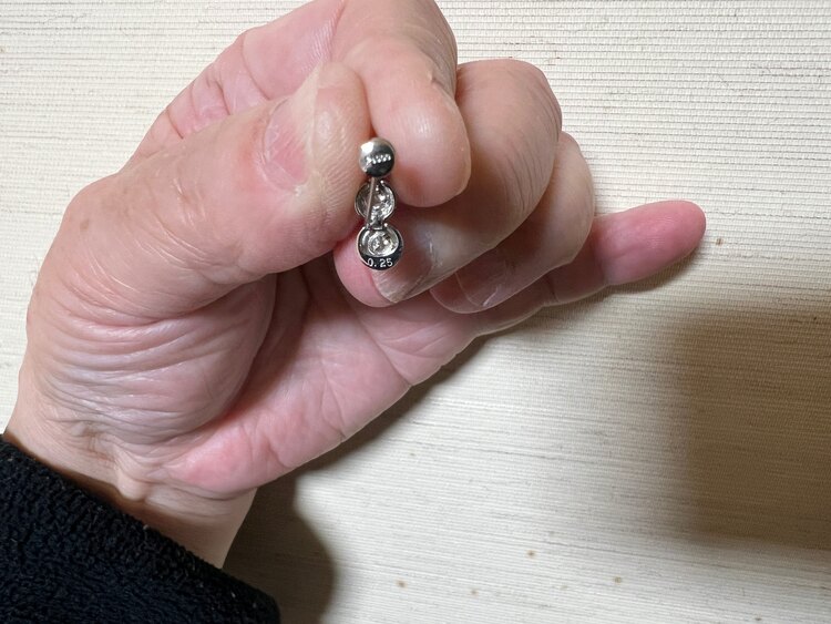 プラチナダイヤ入りイヤリング（宝石）の商品画像 - 査定依頼日：2025年1月24日 - 最高査定価格：30,000円