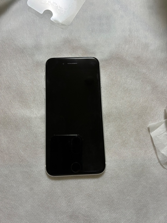 iPhone iPhone SE (第 2 世代) 256GB SIMフリー（スマホ）の商品画像 - 査定依頼日：2026年9月6日 - 最高査定価格：14,000円