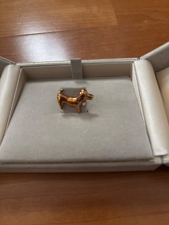 ピンブローチ（宝石）の商品画像 - 査定依頼日：2025年9月29日 - 最高査定価格：10,000円