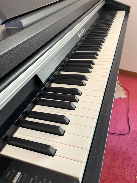 CA901（ピアノ・楽器・PA機材）の商品画像 - 査定依頼日：2026年2月22日 - 最高査定価格：5,000円