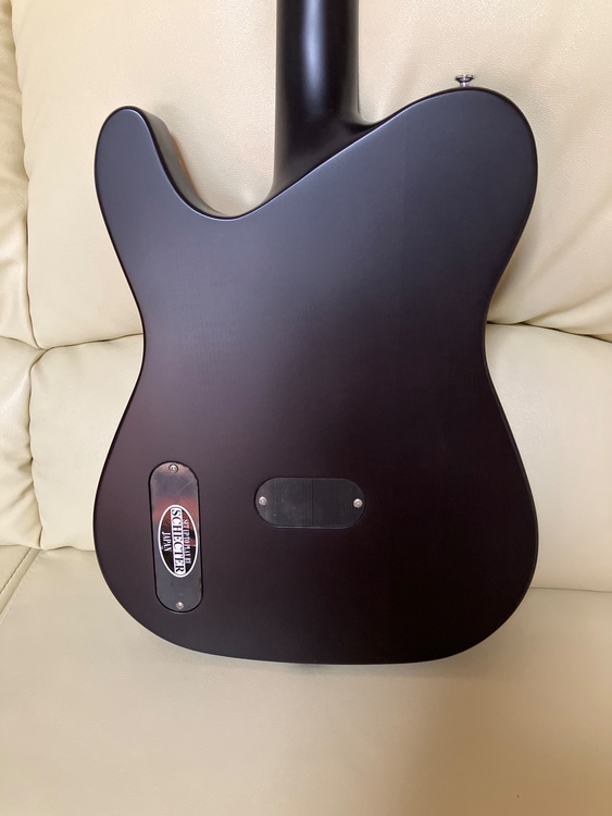 schecter oriental line OL-FL-P Satin nat（ピアノ・楽器・PA機材）の商品画像 - 査定依頼日：2026年8月15日 - 最高査定価格：22,000円
