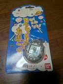 たまごっち（その他のおもちゃ）の商品画像 - 査定依頼日：2026年2月19日 - 最高査定価格：2,000円