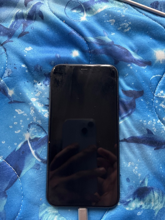 iPhone11 128GB SIMフリー（スマホ）の商品画像 - 査定依頼日：2026年3月18日 - 最高査定価格：17,000円