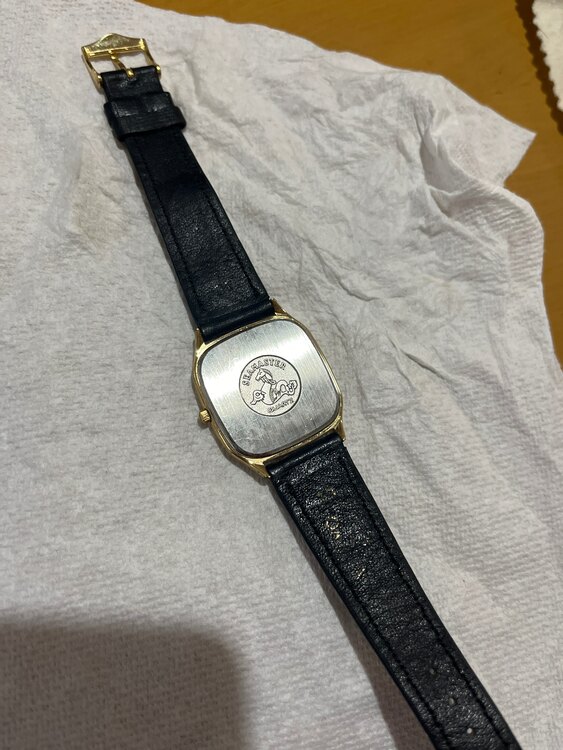 オメガ シーマスター （高級時計）の商品画像 - 査定依頼日：2025年5月6日 - 最高査定価格：35,000円