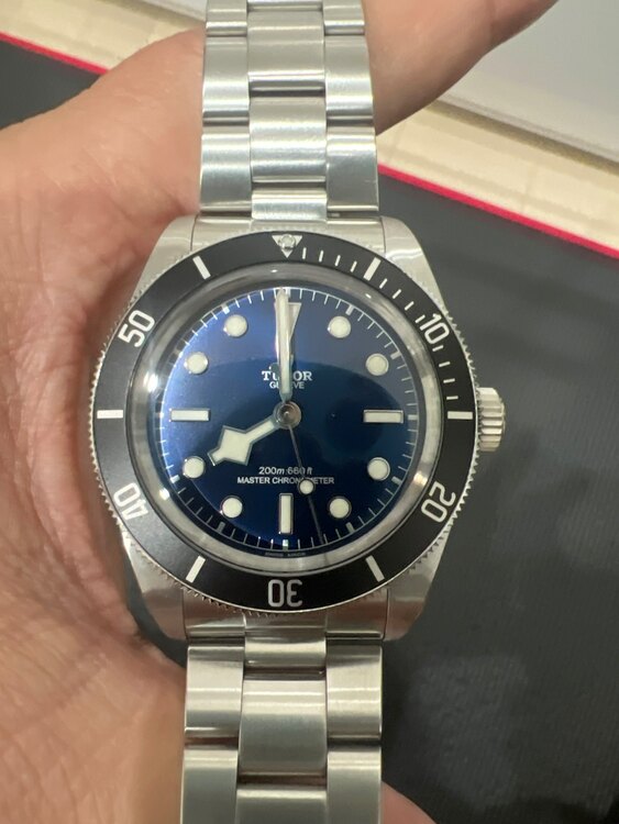 チューダー ブラックベイ （高級時計）の商品画像 - 査定依頼日：2025年4月22日 - 最高査定価格：600,000円