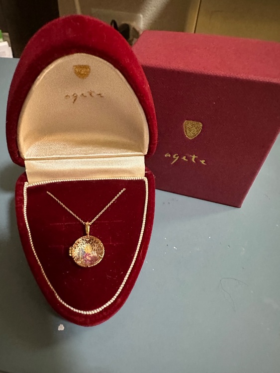 agete限定K18チャームK10ネックレス（金・貴金属）の商品画像 - 査定依頼日：2025年7月4日 - 最高査定価格：100,000円