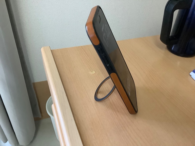 iPhone iPhone 15 Pro Max 256GB docomo（スマホ）の商品画像 - 査定依頼日：2026年9月5日 - 最高査定価格：97,000円