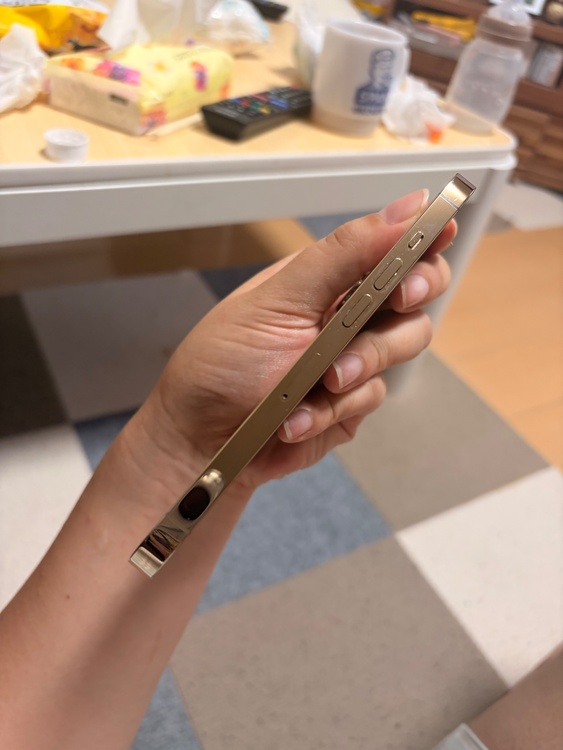 iPhone iPhone 13 Pro 256GB docomo（スマホ）の商品画像 - 査定依頼日：2026年6月25日 - 最高査定価格：55,000円