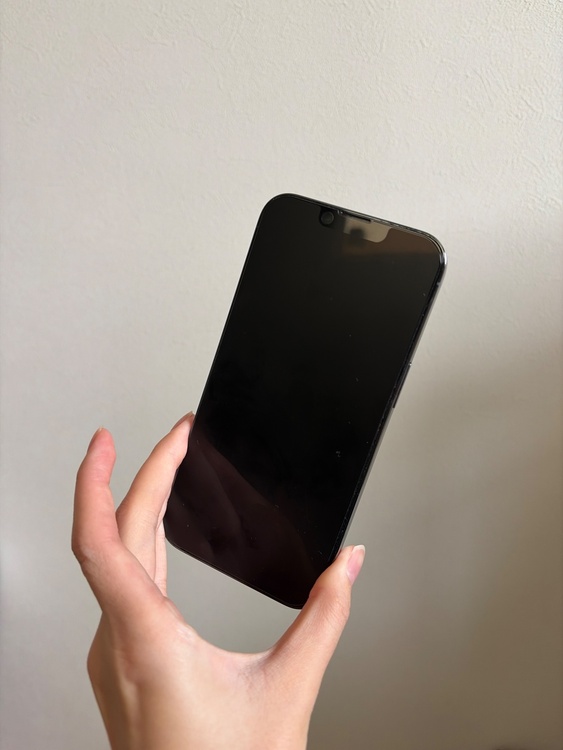 iPhone 13 Pro 256GB SIMフリー（スマホ）の商品画像 - 査定依頼日：2026年2月27日 - 最高査定価格：49,000円