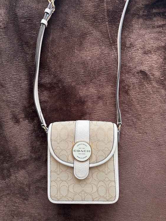 その他 コーチ （ブランドバッグ）の商品画像 - 査定依頼日：2026年3月27日 - 最高査定価格：3,000円