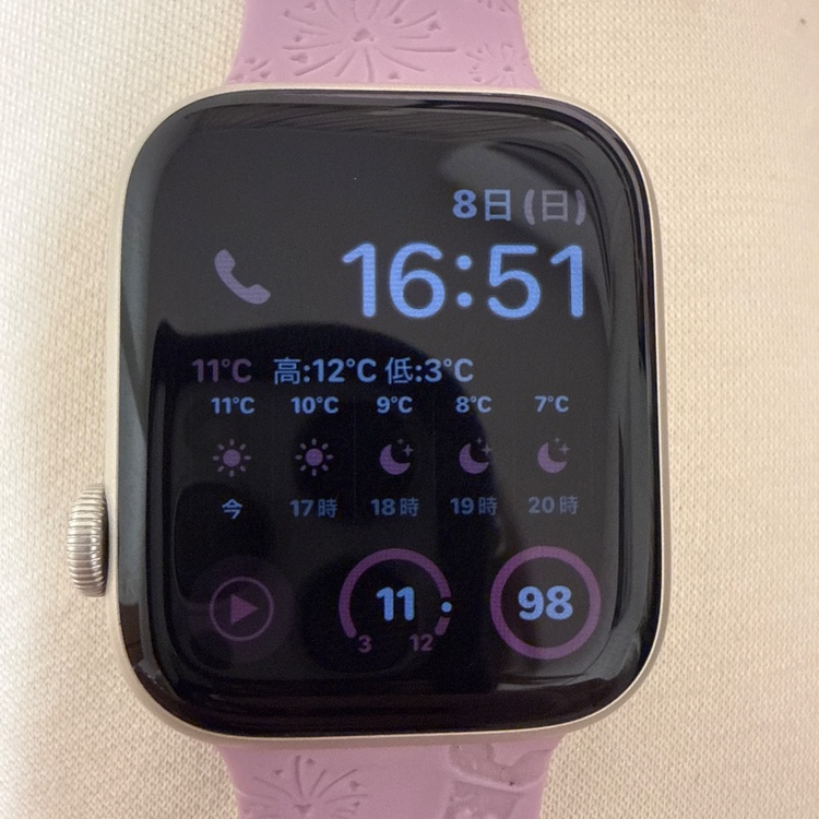 その他 その他 Appleうお（高級時計）の商品画像 - 査定依頼日：2026年3月11日 - 最高査定価格：12,100円