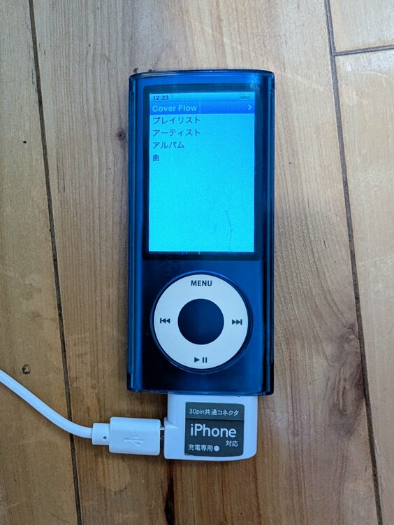 iPod（オーディオ・スピーカー）の商品画像 - 査定依頼日：2026年9月2日 - 最高査定価格：1,000円
