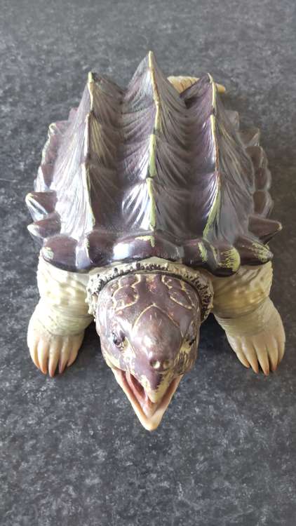 カメ 、ビックスズメバチ（フィギュア・プラモデル）の商品画像 - 査定依頼日：2023年9月25日