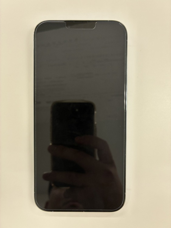 iPhone13Pro Max128GB Sierra Blue（スマホ）の商品画像 - 査定依頼日：2026年5月28日 - 最高査定価格：48,000円
