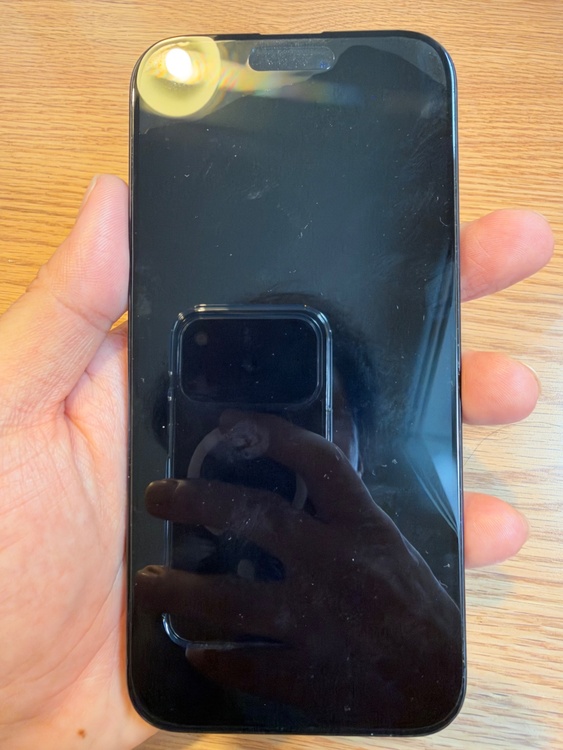 iPhone iPhone 15 Pro Max 256GB SIMフリー（スマホ）の商品画像 - 査定依頼日：2026年9月21日 - 最高査定価格：99,000円