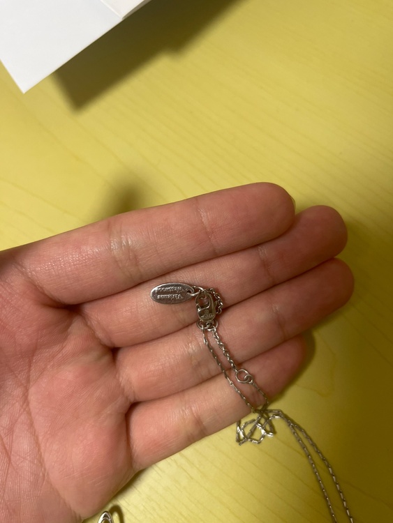 ヴィヴィアンウエストウッドネックレス（古着・ファッション）の商品画像 - 査定依頼日：2026年3月25日 - 最高査定価格：1,000円
