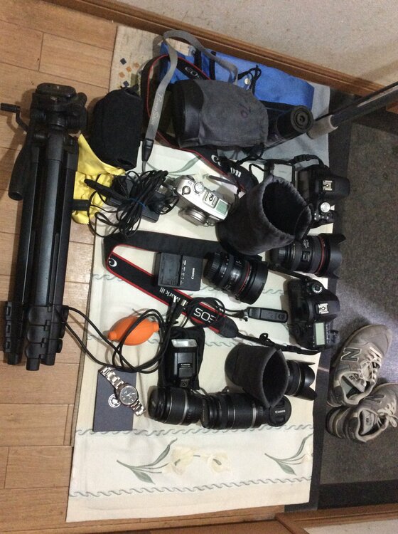 写真に記載（カメラ）の商品画像 - 査定依頼日：2026年8月30日 - 最高査定価格：180,000円