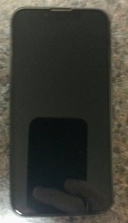 iPhone13mini（スマホ）の商品画像 - 査定依頼日：2025年2月23日 - 最高査定価格：44,000円