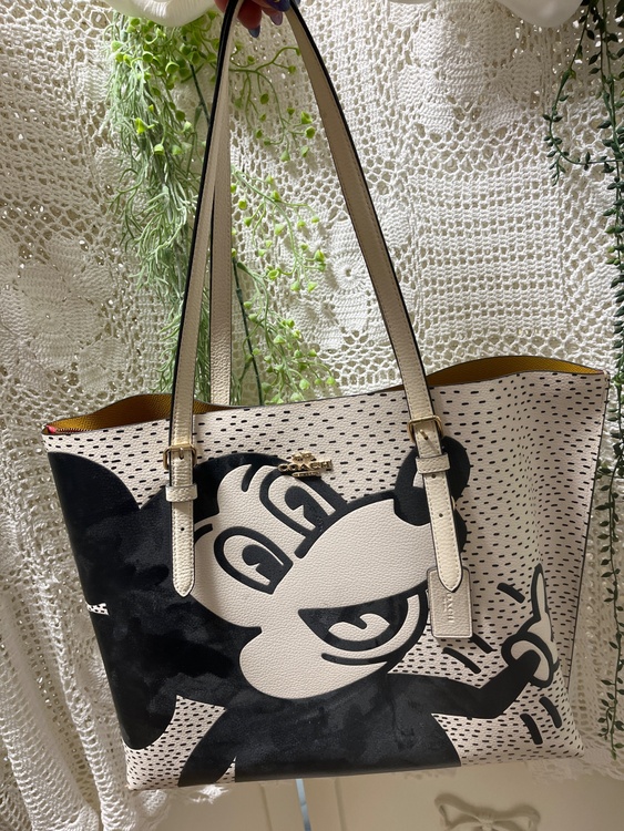 コーチのトートバッグ（ブランドバッグ）の商品画像 - 査定依頼日：2026年9月13日 - 最高査定価格：100,000円