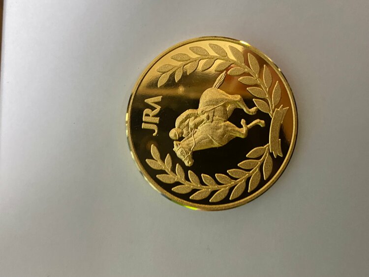 メダル（金・貴金属）の商品画像 - 査定依頼日：2026年9月4日 - 最高査定価格：2,200,000円