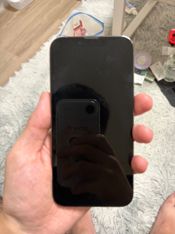 iPhone13Pro 256GB グラファイト（スマホ）の商品画像 - 査定依頼日：2025年11月9日 - 最高査定価格：46,000円