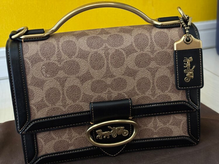 その他 コーチ （ブランドバッグ）の商品画像 - 査定依頼日：2025年4月21日 - 最高査定価格：15,000円