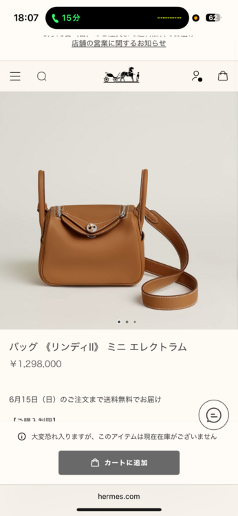 リンディミニ（ブランドバッグ）の商品画像 - 査定依頼日：2025年6月14日 - 最高査定価格：1,130,000円