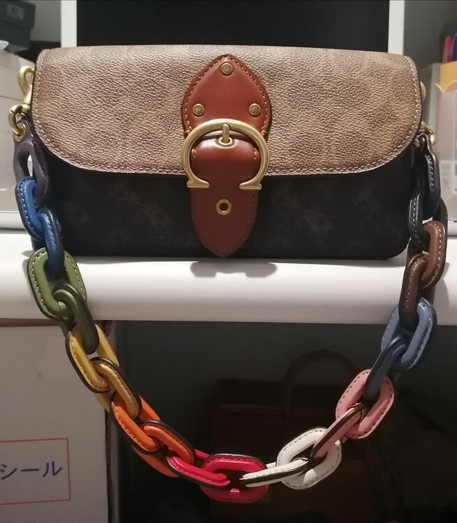 ショルダーバッグ（ブランドバッグ）の商品画像 - 査定依頼日：2025年7月17日 - 最高査定価格：10,000円