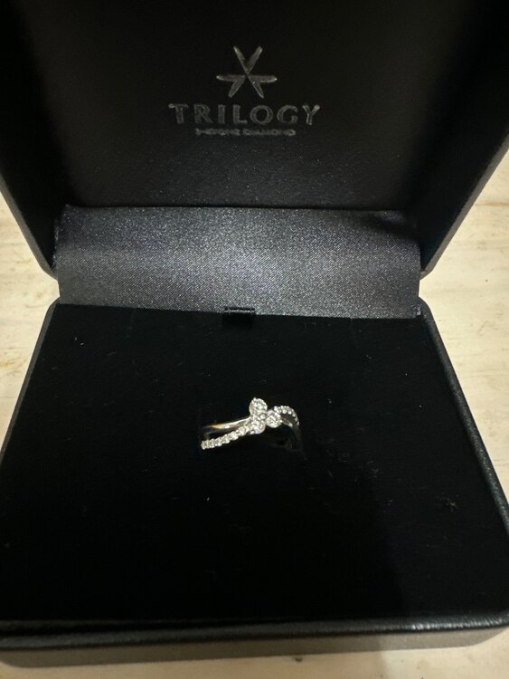 Pt900 ダイヤモンドリング（金・貴金属）の商品画像 - 査定依頼日：2025年4月20日 - 最高査定価格：30,000円