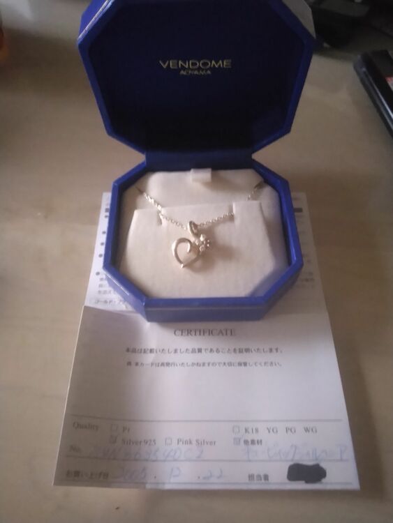 SVN863540C2（金・貴金属）の商品画像 - 査定依頼日：2025年9月24日 - 最高査定価格：1,000円