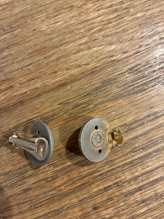 イヤリング（ブランド財布・小物）の商品画像 - 査定依頼日：2025年5月4日 - 最高査定価格：100,000円