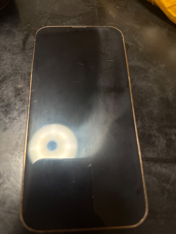 iPhone13pro（スマホ）の商品画像 - 査定依頼日：2026年7月31日 - 最高査定価格：43,000円