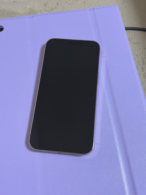 iPhone iPhone 13 Pro 256GB SIMフリー（スマホ）の商品画像 - 査定依頼日：2026年9月14日 - 最高査定価格：48,500円