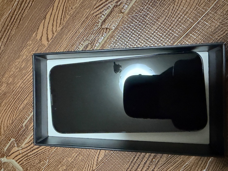 iPhone 13 Pro 256GB docomo（スマホ）の商品画像 - 査定依頼日：2026年1月22日 - 最高査定価格：53,000円