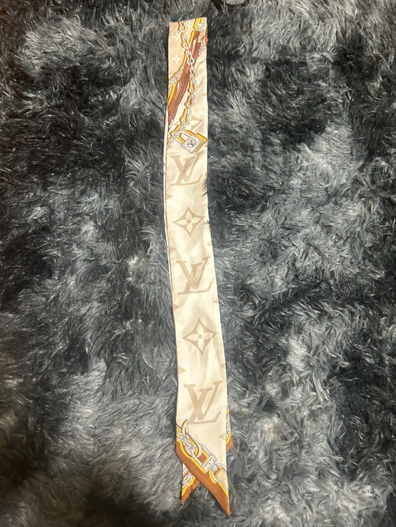 ルイヴィトン ルイヴィトン(その他) （ブランドバッグ）の商品画像 - 査定依頼日：2026年1月22日 - 最高査定価格：20,000円