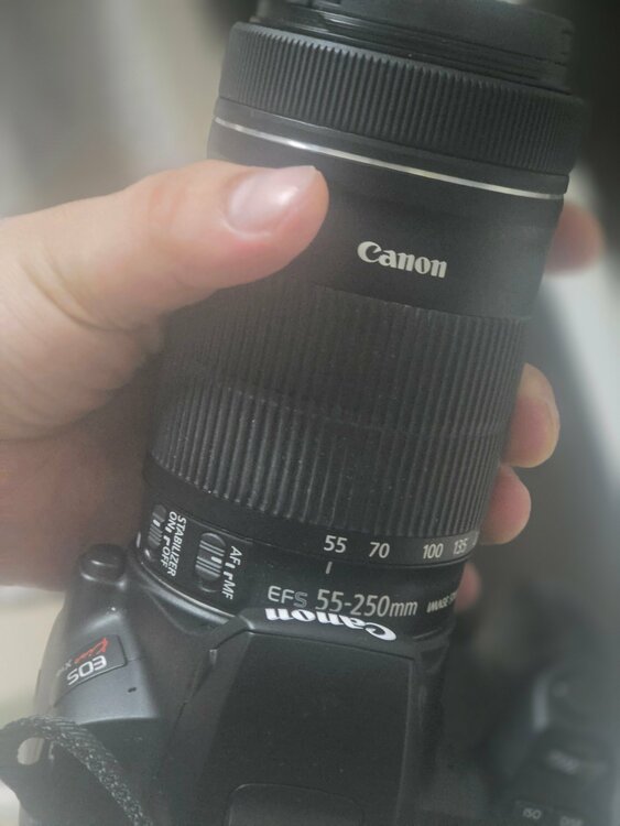 Canon kissx10（カメラ）の商品画像 - 査定依頼日：2026年10月2日 - 最高査定価格：46,000円