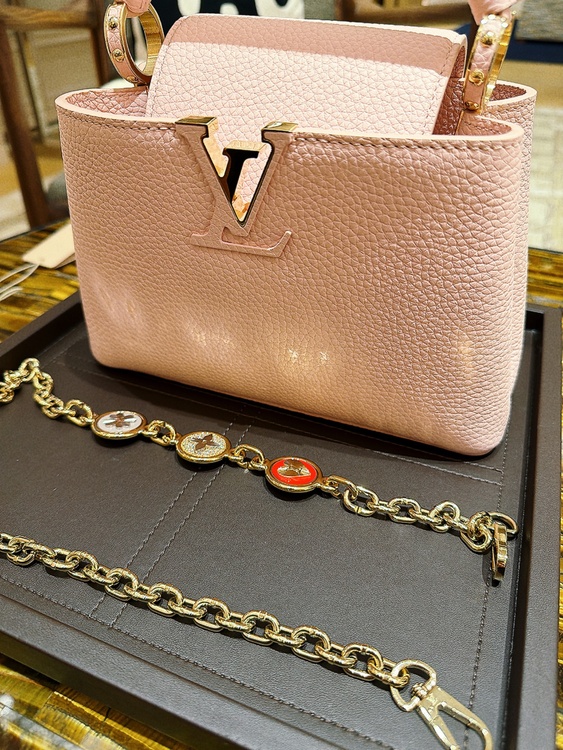 カプシーヌmini （ブランドバッグ）の商品画像 - 査定依頼日：2026年6月19日 - 最高査定価格：450,000円