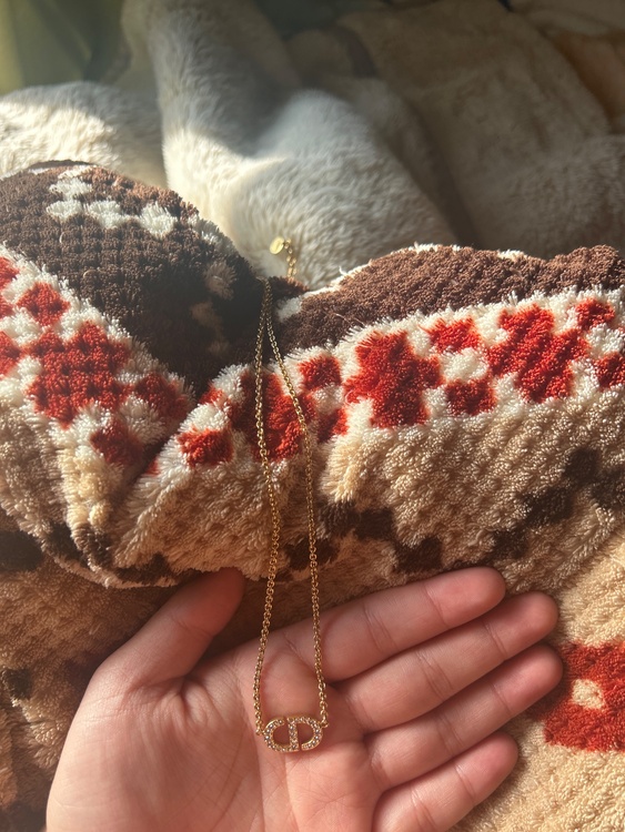 ディオール  （ブランドバッグ）の商品画像 - 査定依頼日：2026年1月28日 - 最高査定価格：30,000円