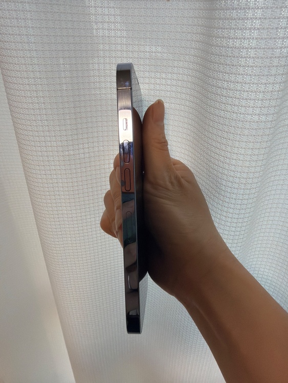 iPhone iPhone 13 Pro 256GB SIMフリー（スマホ）の商品画像 - 査定依頼日：2026年5月31日 - 最高査定価格：48,000円