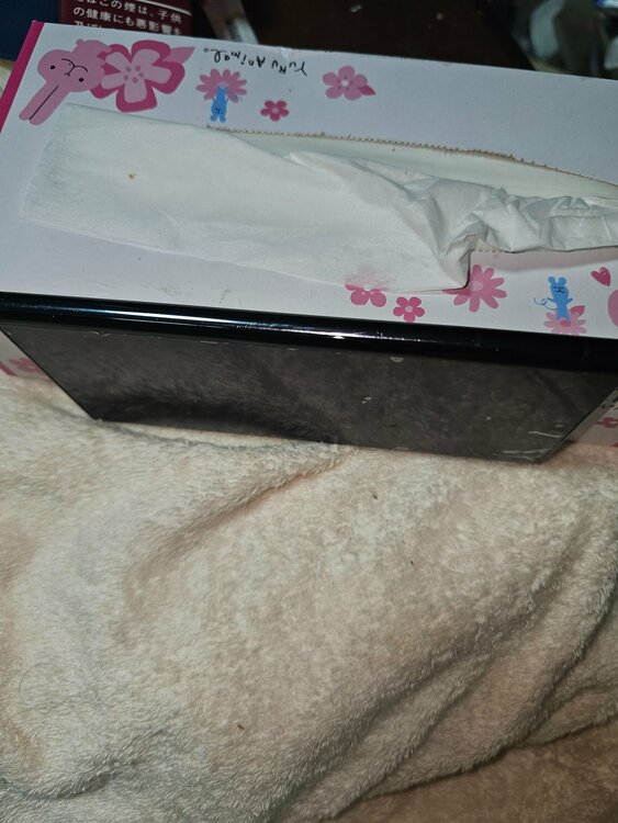 S22ultra （スマホ）の商品画像 - 査定依頼日：2026年3月16日 - 最高査定価格：25,000円