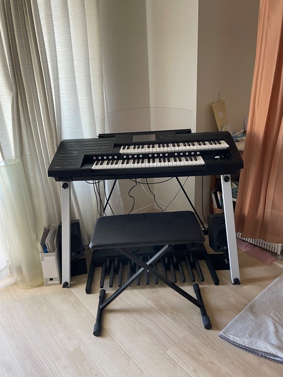 ELC-02 エレクトーン（ピアノ・楽器・PA機材）の商品画像 - 査定依頼日：2025年12月5日 - 最高査定価格：300,000円
