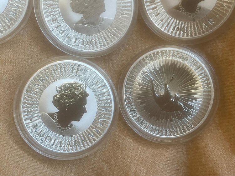 オーストラリア2022カンガルー1ドル1オンス銀貨11枚（金・貴金属）の商品画像 - 査定依頼日：2025年1月9日 - 最高査定価格：52,000円