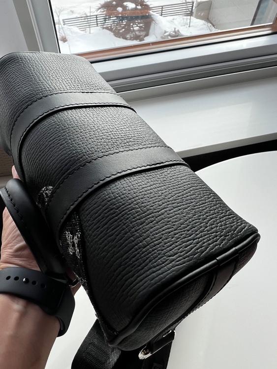 ルイヴィトン ルイヴィトン(その他) （ブランドバッグ）の商品画像 - 査定依頼日：2026年1月25日 - 最高査定価格：270,000円