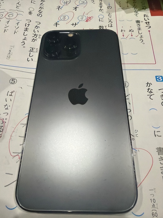 iPhone iPhone 13 Pro Max 256GB SIMフリー（スマホ）の商品画像 - 査定依頼日：2026年8月31日 - 最高査定価格：56,000円