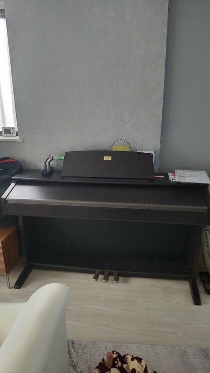 CELVIANO（ピアノ・楽器・PA機材）の商品画像 - 査定依頼日：2026年3月10日 - 最高査定価格：5,000円