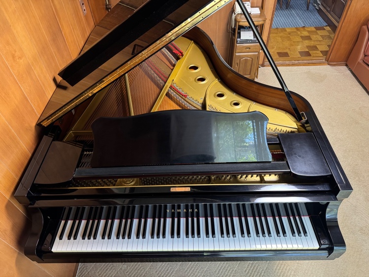 C5  3890942  （ピアノ・楽器・PA機材）の商品画像 - 査定依頼日：2026年1月21日 - 最高査定価格：10,000円