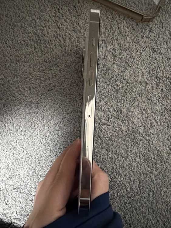 iPhone13Pro Max（スマホ）の商品画像 - 査定依頼日：2026年4月2日 - 最高査定価格：51,000円